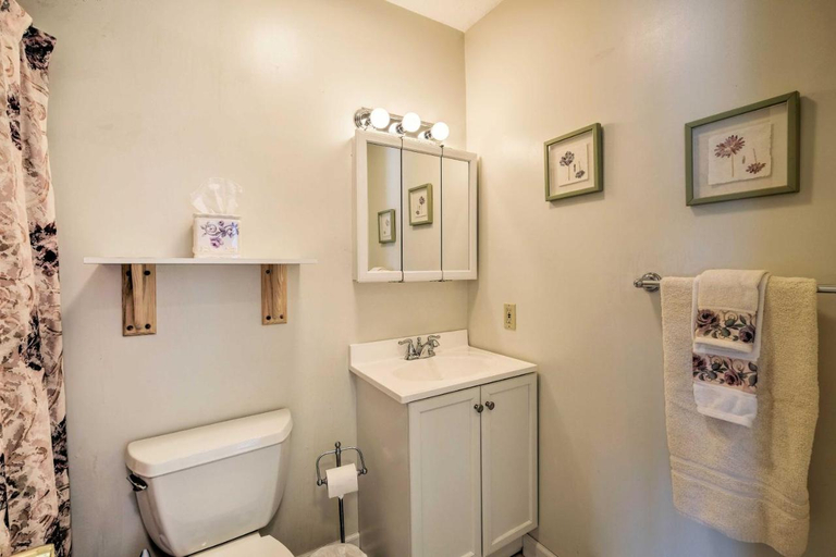 Bathroom 3, Homey Windham Condo: Hike & Ski the Catskill Mtns!, Greene