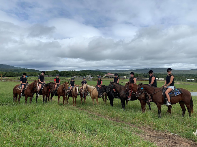 Others 2, Kur- Cow Farm 35 minutes from Cairns CBD, Mareeba