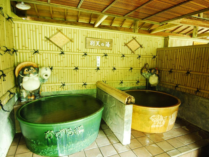 Others 3, Shin Iya Onsen Hotel Kazurabashi, Miyoshi
