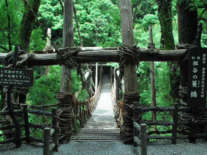 Others 4, Shin Iya Onsen Hotel Kazurabashi, Miyoshi