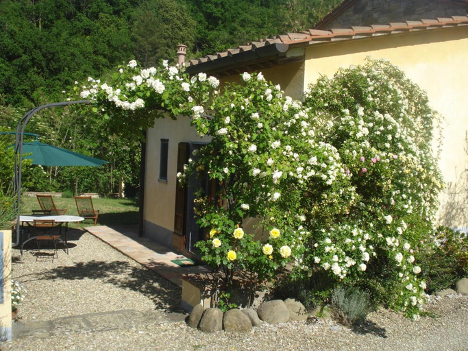 Others 3, Il Cielo Bio - nature, relax, Shiatsu, massage, esplore Chianti, Florence