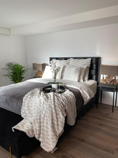 Others 3, Private Spa LUX with Whirlpool and Sauna in Zurich, Zürich