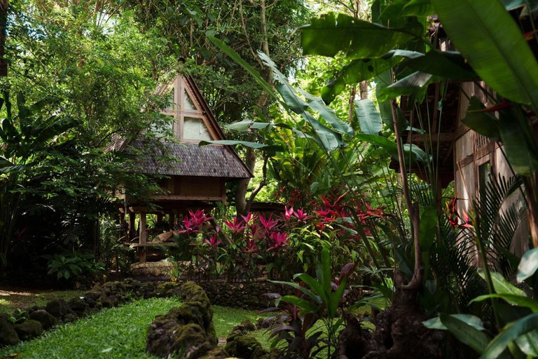 Others 4, Roots Tree House, Badung