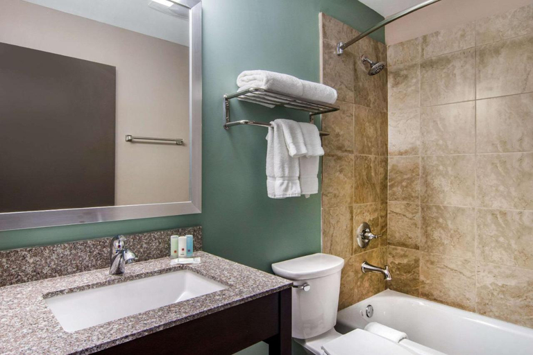 Bathroom 5, Clarion Inn & Suites Atlanta Downtown, Atlanta