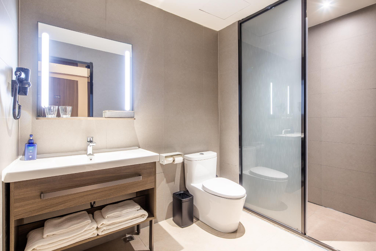 Bathroom 3, Hanting Hotel Luoyang Longmen Railway Station, Luoyang