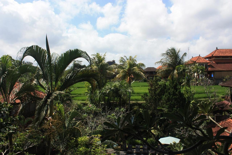 Raditia Homestay, Gianyar