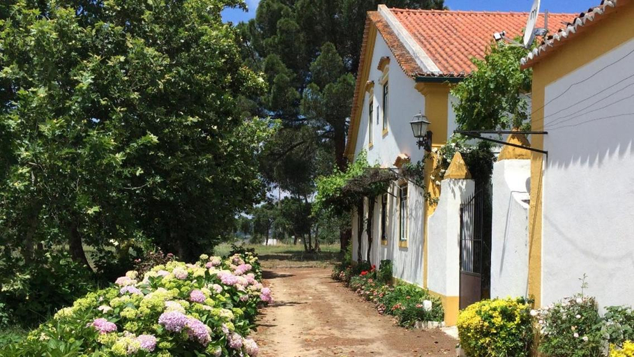 Others 5, Quinta de SantAna da Varzea, Abrantes