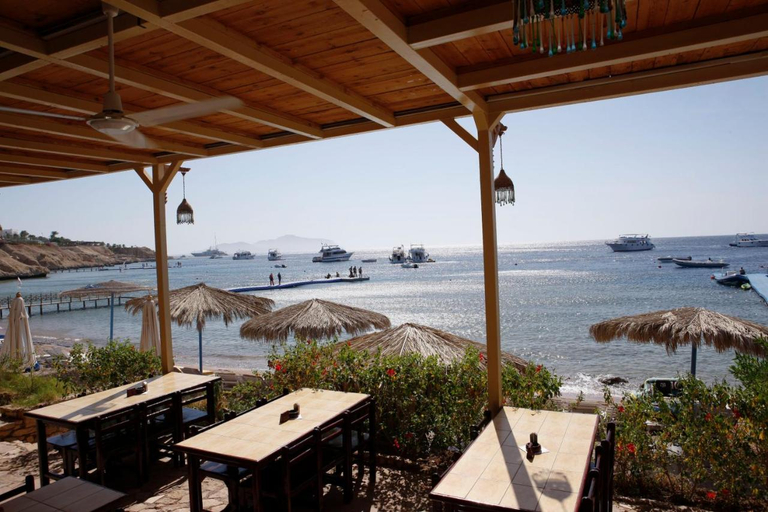 Food & Drinks 5, Sharks Bay Umbi Diving Village, Sharm el-Sheikh