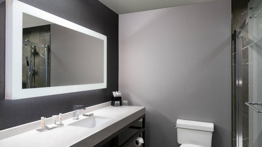 Bathroom 4, Marriott Chicago At Medical District, Cook