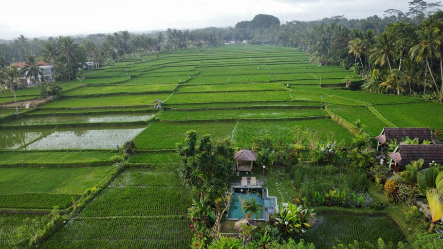 Others 5, Ubud Leke Leke Guest House, Gianyar