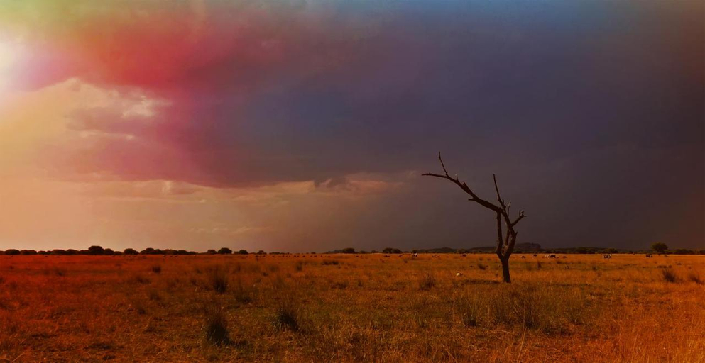 Others 4, Zwahili Game Lodge, Waterberg