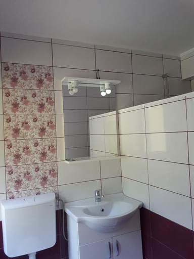 Bathroom 2, Pensiunea Casa David, Sugag