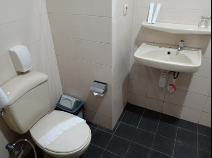 Bathroom, Ria Diani Hotel, Bogor