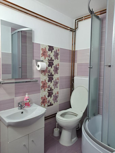 Bathroom 3, Pensiunea Mioritica, Saliste