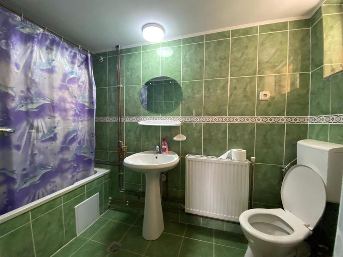 Bathroom 5, Pensiunea Mioritica, Saliste