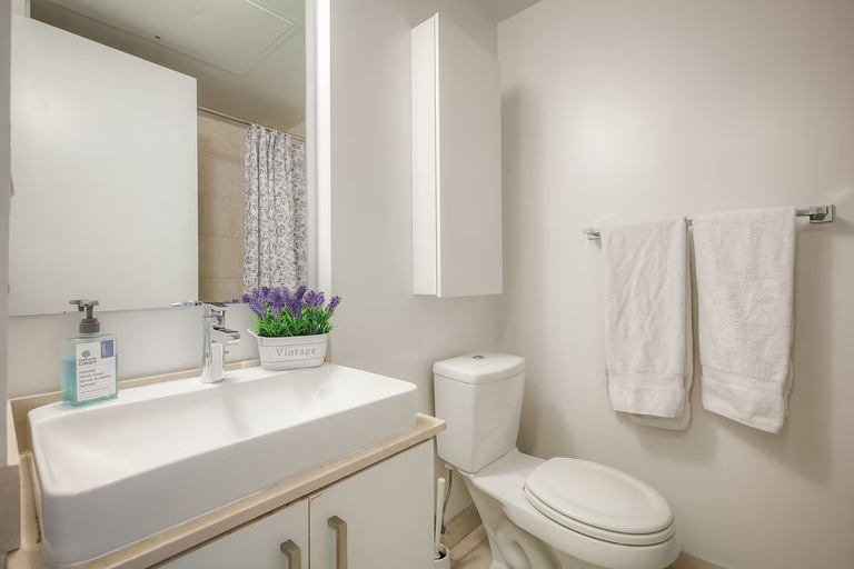 Bathroom 3, Lavish Suites, Toronto