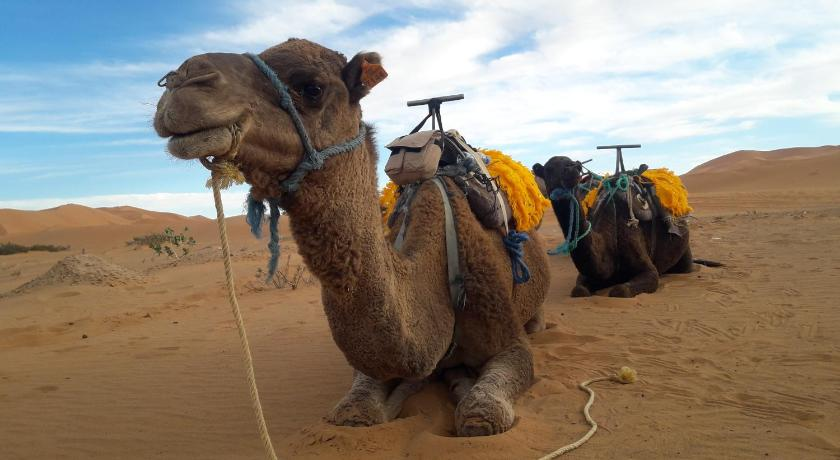 Others 2, Merzouga Luxury Glamping, Errachidia