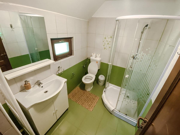 Bathroom, Pensiunea Petru, Sugag