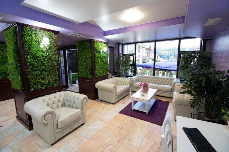 Others, Hotel Dorna, Vatra Dornei