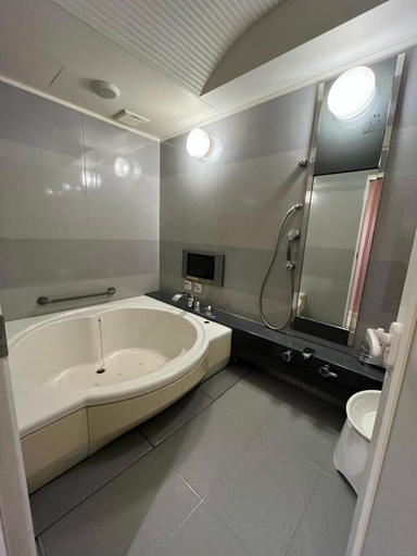 Bathroom 3, Asahikawa Hotel Liprose - Adult Only, Asahikawa
