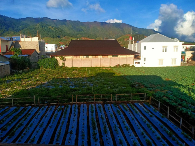 Exterior & Views 2, Homestay Anemon, Wonosobo
