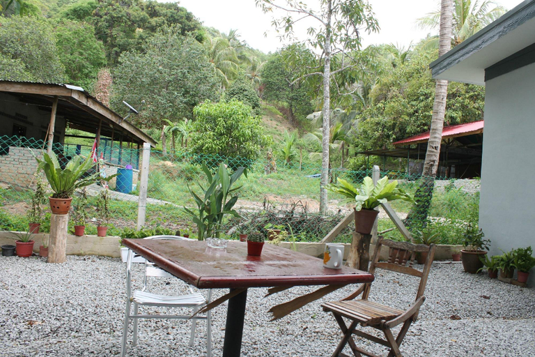 Others 5, Cactus Inn, Langkawi