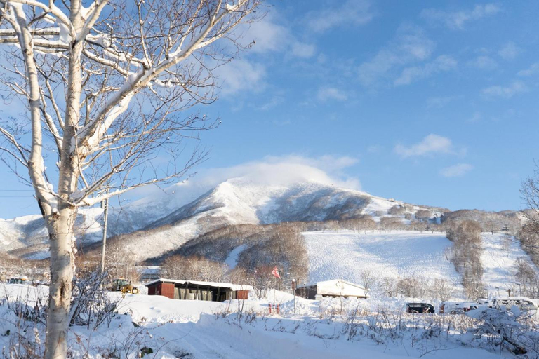 Others 5, Alpenglow Lodges Ginkei, Niseko