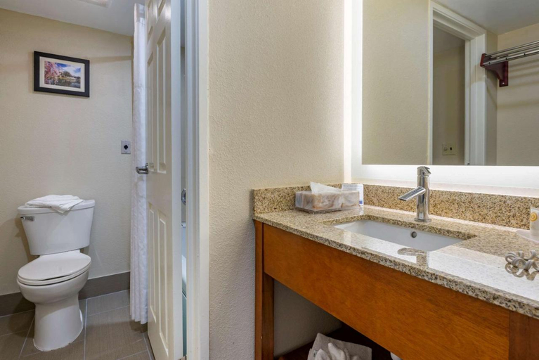 Bathroom 4, Comfort Inn Edgewater on Hudson River, Bergen