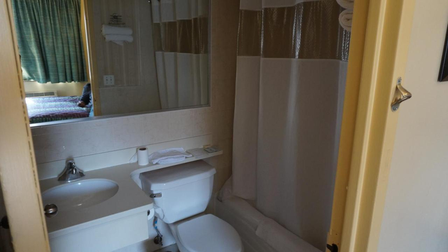Bathroom 3, Flushing Motel, New York