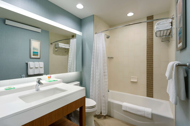 Bathroom 5, Hyatt Place Chicago/Downtown - The Loop, Cook