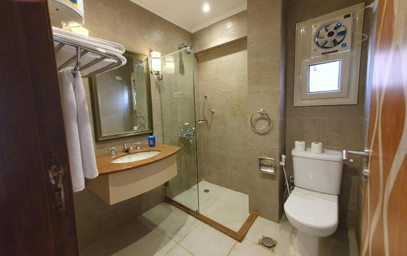 Bathroom 3, Cairo Dream Boutique Hotel, Qasr an-Nil