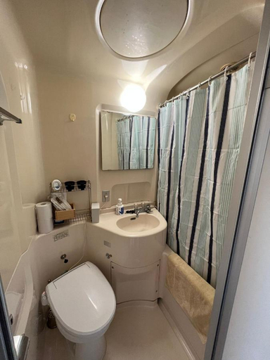 Bathroom 2, Shin-osaka 1109, Osaka