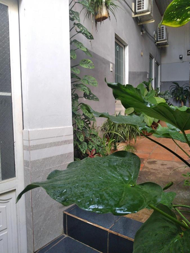 Exterior & Views 4, NHA NGHI VAN ANH, Buon Ma Thuot