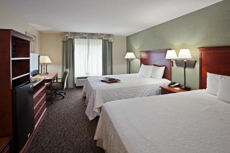 Bedroom 3, Hampton Inn Ithaca, Tompkins