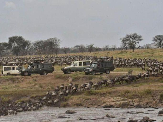 Others 4, Serengeti Kifaru Tented Lodge, Serengeti