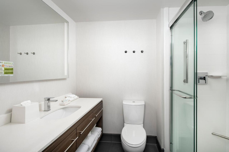 Bathroom 4, Home2 Suites by Hilton Nashville Downtown Convention Center, Davidson