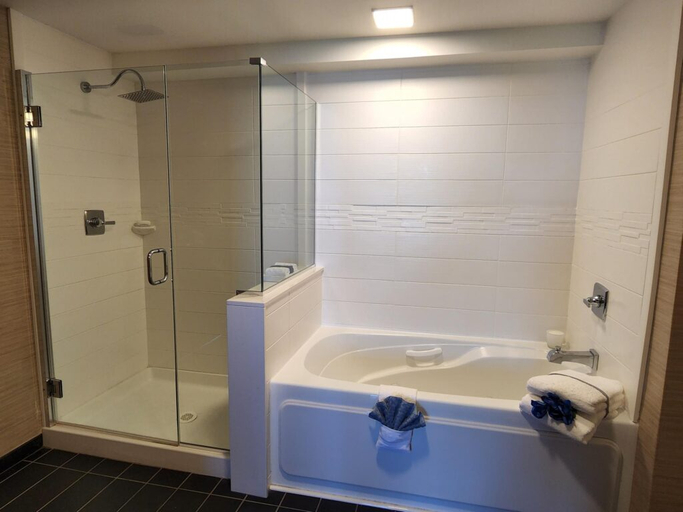 Bathroom 4, Illinois Beach Hotel, Lake