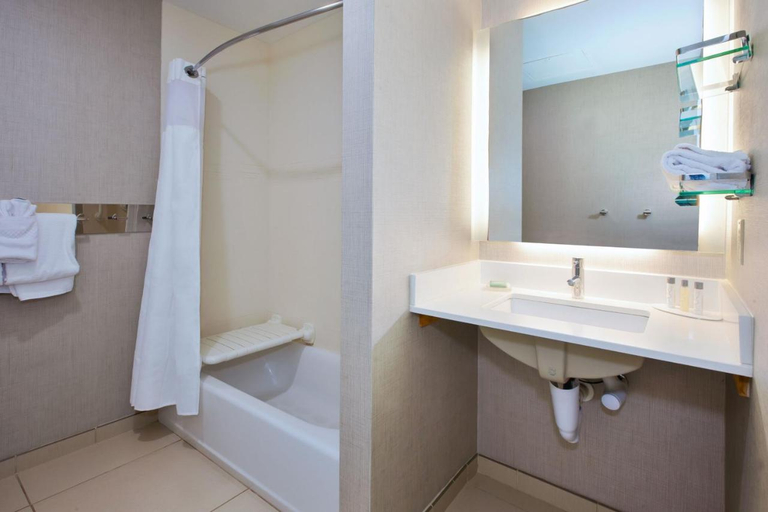 Bathroom 4, Residence Inn by Marriott Ann Arbor North, Washtenaw