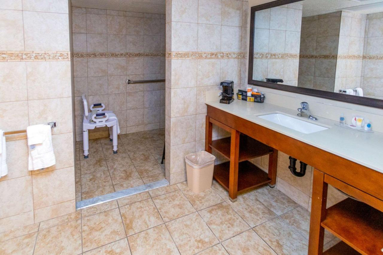 Bathroom 4, Comfort Inn Salt Lake City Downtown, Salt Lake