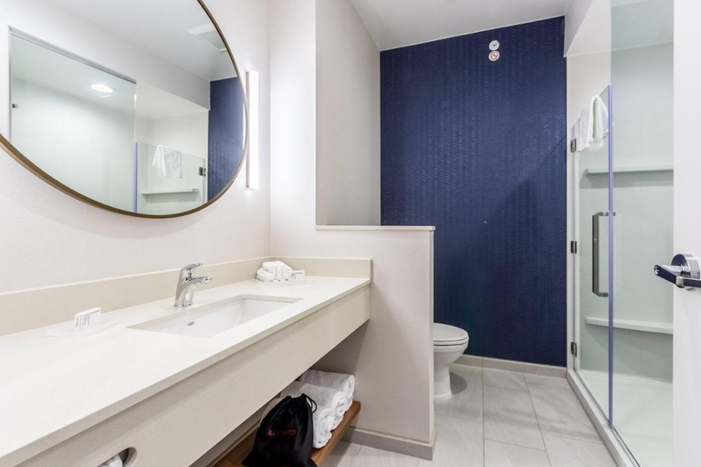 Bathroom 5, Fairfield Inn & Suites by Marriott Dallas Arlington South, Arlington
