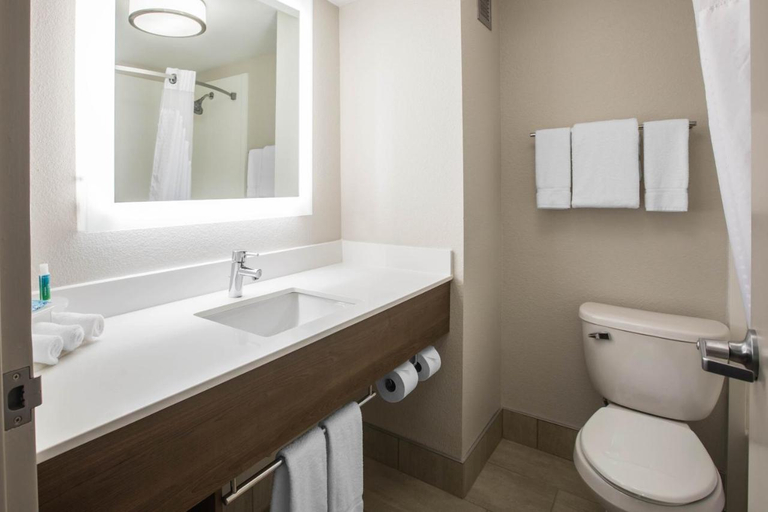 Bathroom 3, Holiday Inn Express & Suites LUDINGTON by IHG, Mason