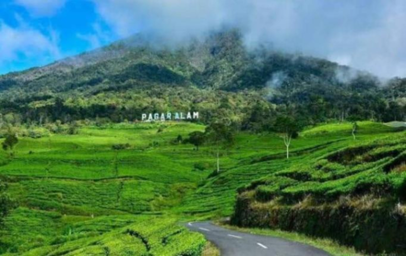 Others 5, Villa and Homestay Gubuk Hilwa - Pagaralam, Pagar Alam