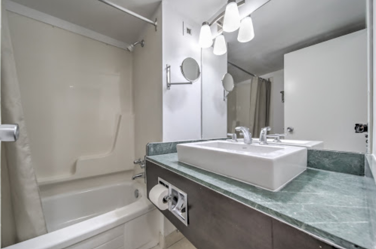Bathroom 5, W Inn, Niagara