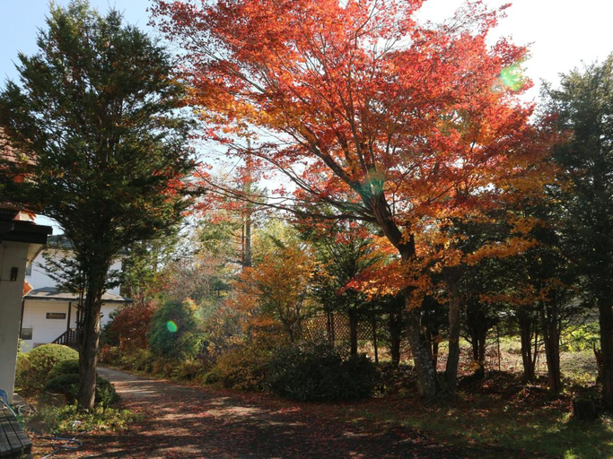 Others 4, Eden, Sapporo
