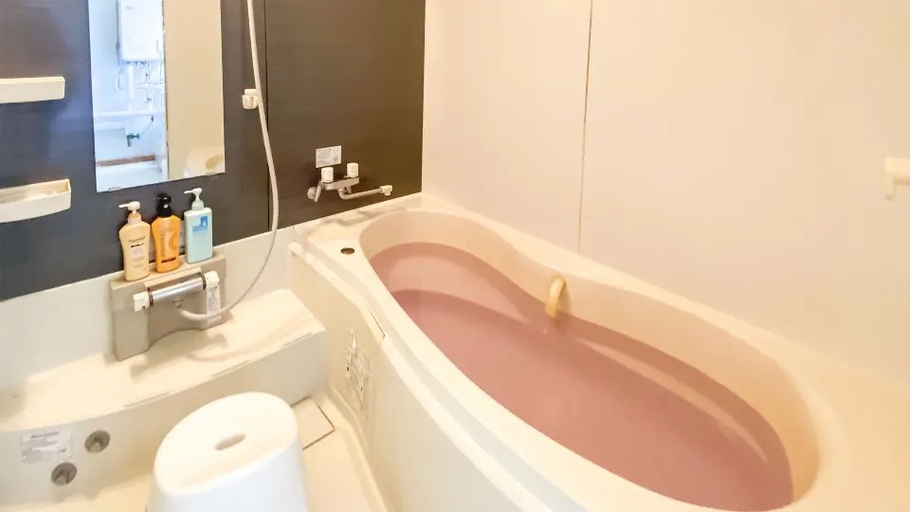 Bathroom, Minshuku Kano, Kushiro City