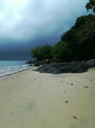 Others 4, Simukut Place, Mersing
