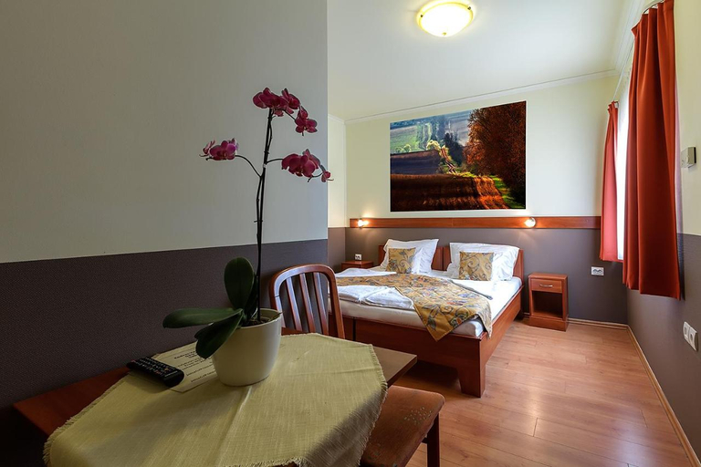 Bedroom 5, Aranypatko Panzio, Győr