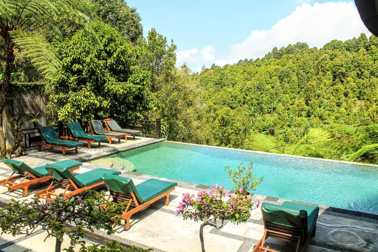 Sport & Beauty 5, BINTANG MUNDUK, Buleleng