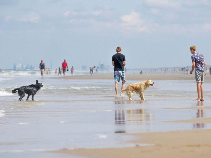 Others 3, Beautiful Villa Near North Sea Beach, Noordwijk