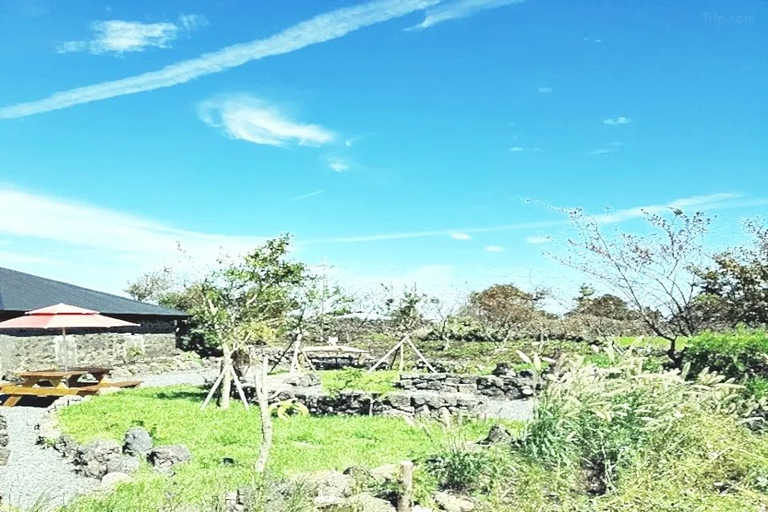 Others 4, Memories of Jeju, Jeju